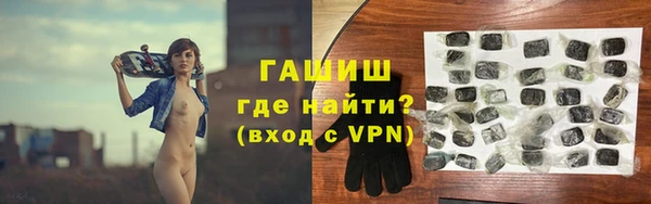 сатива Ессентукская