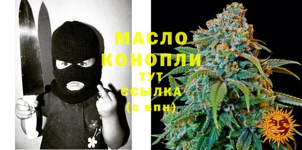 сатива Ессентукская