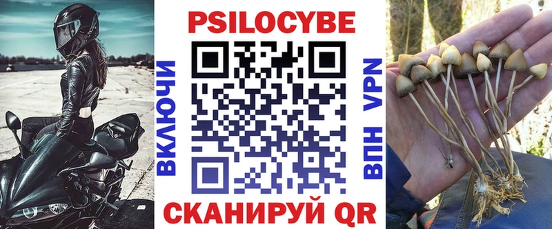Купить  Мамоново  Псилоцибиновые грибы Magic Shrooms 